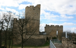 Marche Nordique - 21/02/26 - Sortie Nature N°6