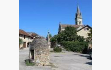 Marche Nordique - 31/01/26 - Sortie Nature N°5