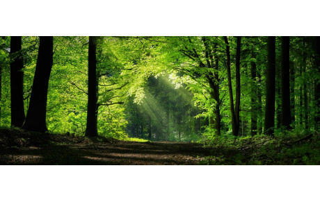 Marche Nordique - 25/04/26 - Sortie Nature N°8