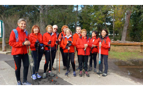 Marche nordique à Parilly : un rendez-vous sportif qui séduit de plus en plus