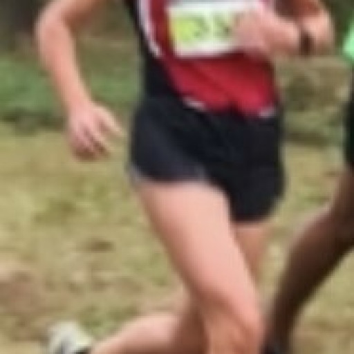 Sandrine Degroodt